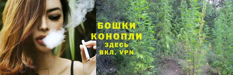 Конопля Ganja  Высоковск 